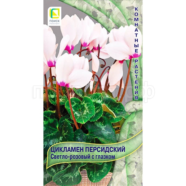 Купить пластиковые горшки для цветов -➩ GreenDecor ☎️ 